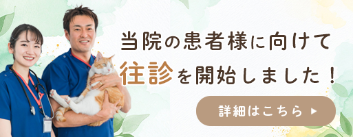 当院の患者様に向けて往診を開始しました！