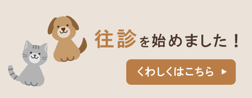 当院の患者様に向けて往診を開始しました！