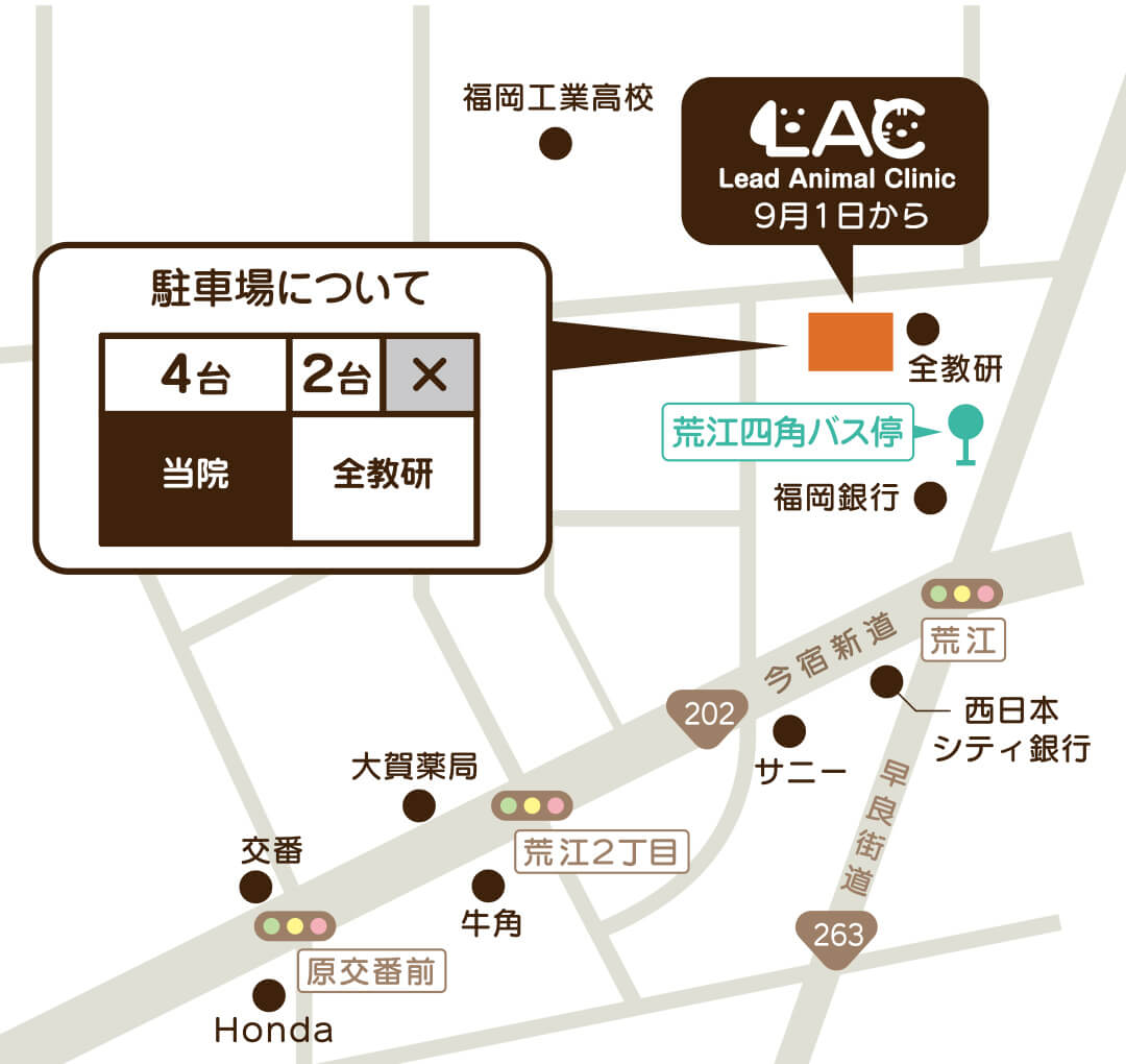 リード動物病院 福岡市にある犬猫専門の動物病院 Ct完備 リード動物病院 福岡市にある犬猫専門の動物病院 Ct完備