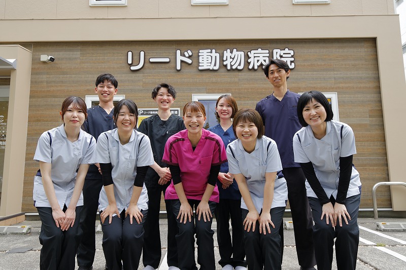 リード動物病院　求人情報